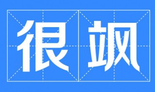 安家飒是什么意思 安家里面的飒什么意思