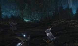 怪物猎人世界猫的武器怎么解锁（怪猎世界猫的技能怎么解锁）