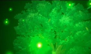 fgo技能时间 fgo技能充能时间