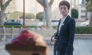 电视剧安家主演都有谁（安家电视剧剧情介绍安家的主要演员）