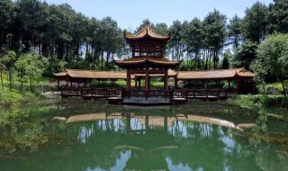 城前康王谷花世界门票（城前康王谷花世界门票团购价）