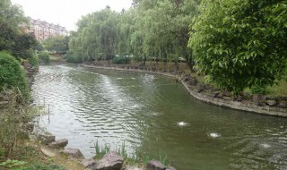 整治污水的措施（整治污水的措施怎么写）