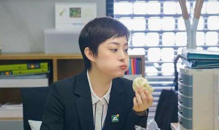 电视剧安家在哪个卫视上播出的（电视剧安家在哪个台播出）