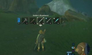 塞尔达新手攻略的顺序(塞尔达新手攻略的顺序中文)