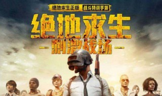 和平精英鸡怎么找（和平精英打小鸡都在哪）