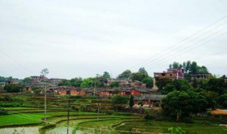 ff14络尾聚落怎么去（ff14络尾集落怎么去）