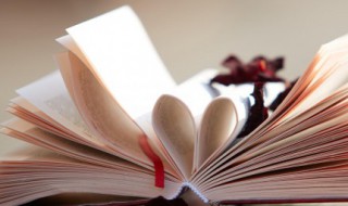 阳光真温暖句子 阳光真温暖句子摘抄