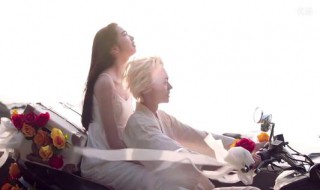 小松莱奈和菅田将晖演的电视剧（小松菜奈和菅田将晖电视剧）