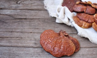 灵芝红枣鸡汤怎么做 灵芝红枣炖鸡汤的功效