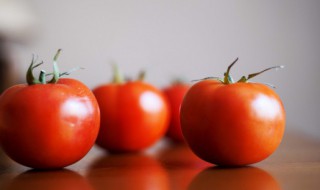 番茄如何催芽（番茄如何催芽视频）