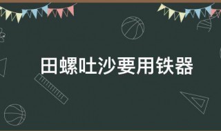 大田螺吐沙子的方法 田螺吐沙要用铁器