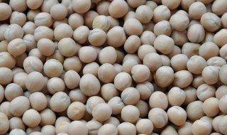 白豌豆的功效与作用（白豌豆的功效与作用怎么吃比较好）