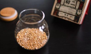 糙米茶的功效与作用 糙米茶有什么功效呢