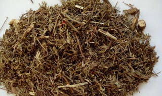 故子的功效与作用 故子的功效与作用是什么