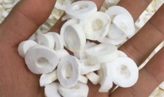 大通草的功效与作用（大通草的功效与作用禁忌）