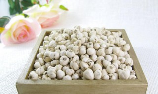 尖贝的功效与作用（尖贝的功效与作用点）