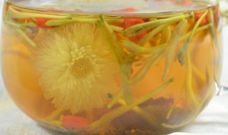 菊花枸杞决明子牛蒡茶的功效与作用（菊花枸杞决明子牛蒡茶的功效与作用及禁忌）