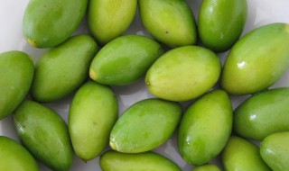 檀香橄榄的功效与作用（檀香榄营养价值）