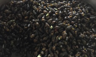 溪螺汤的功效与作用(螺蛳汤的功效与作用)