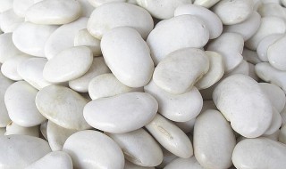 雪豆的功效与作用（雪豆的功效与作用图片）