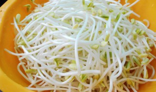 黄豆芽炒牛肉丝怎么做 黄豆芽炒牛肉丝怎么炒