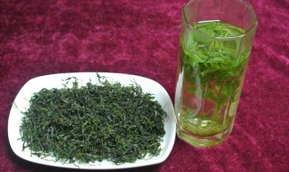 贵州苦丁茶的功效与作用（贵州苦丁茶的功效与作用月坤东南特选牌余庆小叶苦丁茶）