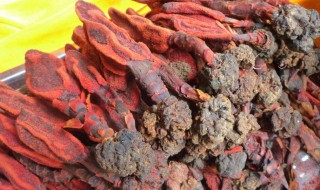 顶天柱的功效与作用 顶天柱泡水喝的作用