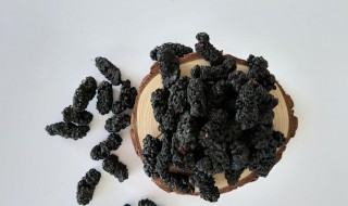桑葚干泡酒的功效与作用 桑葚干泡酒的功效与作用及食用方法