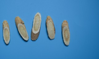 黄芪的功效与作用 黄芪的功效与作用禁忌