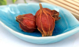 炒栀子和生栀子的功效与作用（炒栀子和生栀子的功效与作用一样吗）