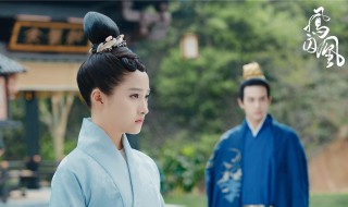 凤囚凰雪云孩子是谁的 凤囚凰雪云的孩子谁的