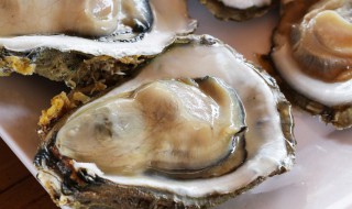 海蛎的功效与作用 海蛎的功效与作用及营养