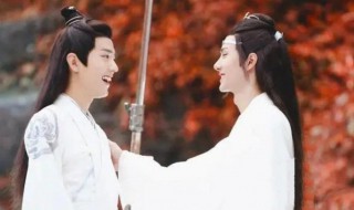 陈情令几大家族（陈情令几大家族死了）