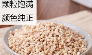 大麦米的功效与作用 大麦米的功效与作用煮红豆