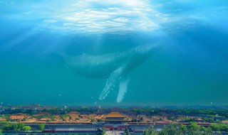 北冥有鱼原文带拼音 北冥有鱼原文带拼音及翻译