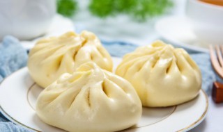 萝卜牛肉馅包子怎么做好吃 萝卜牛肉馅包子怎么做