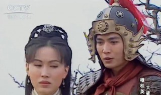 穆桂英大破天门阵的演员 穆桂英大破天门阵演员表介绍