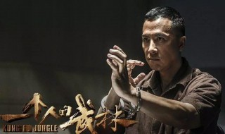 一个人的武林的演员 一个人的武林的演员表介绍