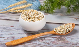 当归薏米鸡腿汤怎么做 当归鸡腿汤怎么炖汤