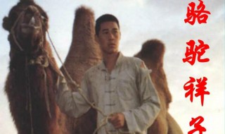 骆驼祥子的三起三落是什么 骆驼祥子的三起三落是什么?