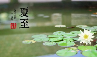夏至节气介绍（夏至节气介绍200字）