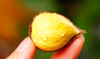 板栗红烧肉低油版怎么做 红烧肉板栗怎么做好吃