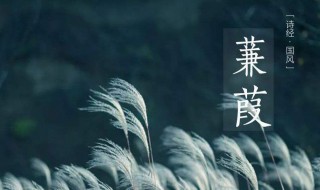 诗经蒹葭的主旨是什么(诗经蒹葭的主旨是什么意思)