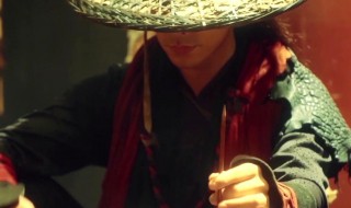 夺镖的演员（夺命飞镖是什么电视剧）