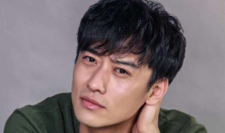 在远方高畅扮演者 高远男演员