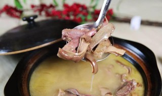 炖乳鸽怎么做好吃 炖乳鸽怎么做好吃窍门