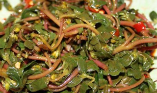绿豆芽拌马齿苋怎么做 绿豆芽拌马齿苋怎么做的