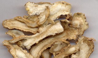 新鲜的当归的保存方法（鲜当归怎样保存）