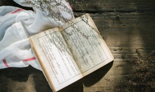 静如处子动如脱兔的故事（静如处子动如脱兔的故事简介）