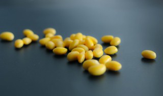 卤水黄豆怎么做 怎样卤黄豆